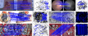 Lost in Translation: How Vision-Language Models Lose Critical Visual Information