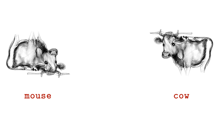 Johns Hopkins Researchers Create AI “Visual Anagrams” — Images That Transform When Rotated